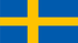 TGM Küsitlused raha teenimiseks Rootsis