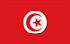 TGM Küsitlused raha teenimiseks Tuneesias