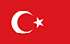 TGM Küsitlused raha teenimiseks Türgis